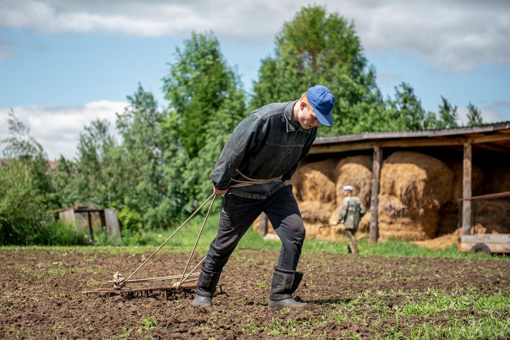 Photograph by Лидия Долгова