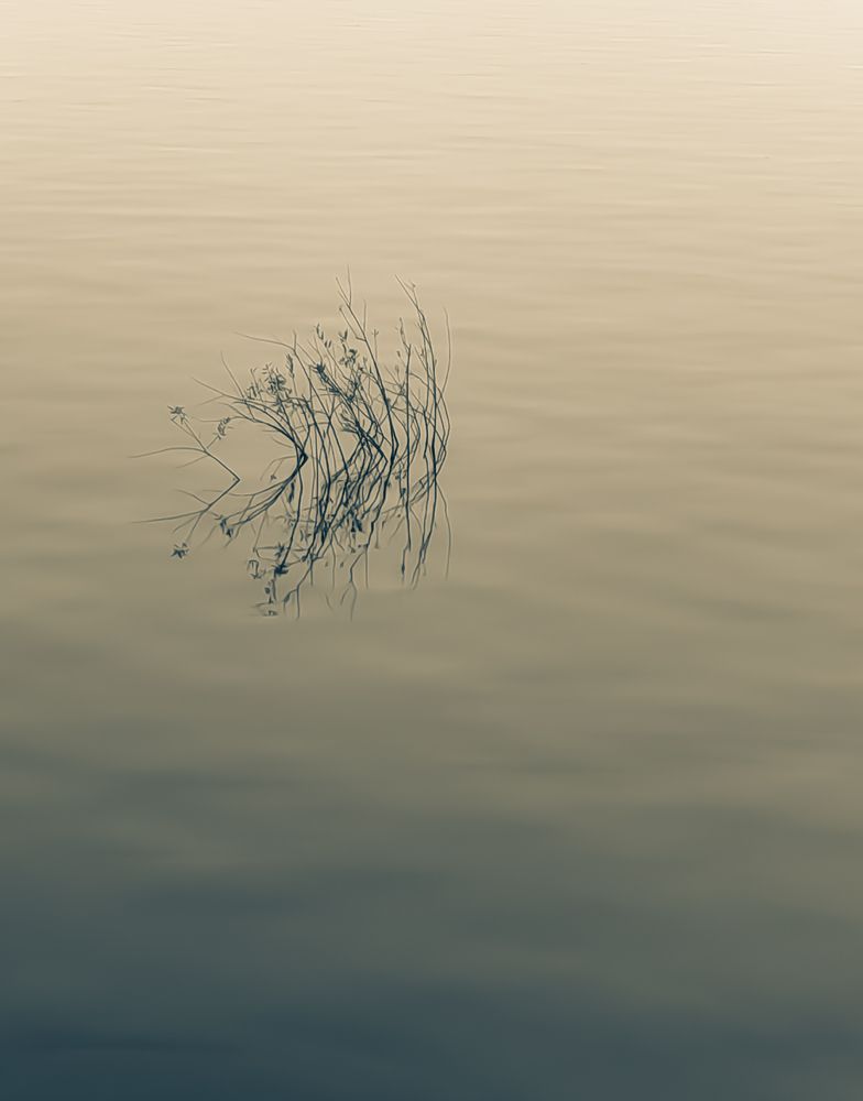 Photograph by Ксения Тенькина