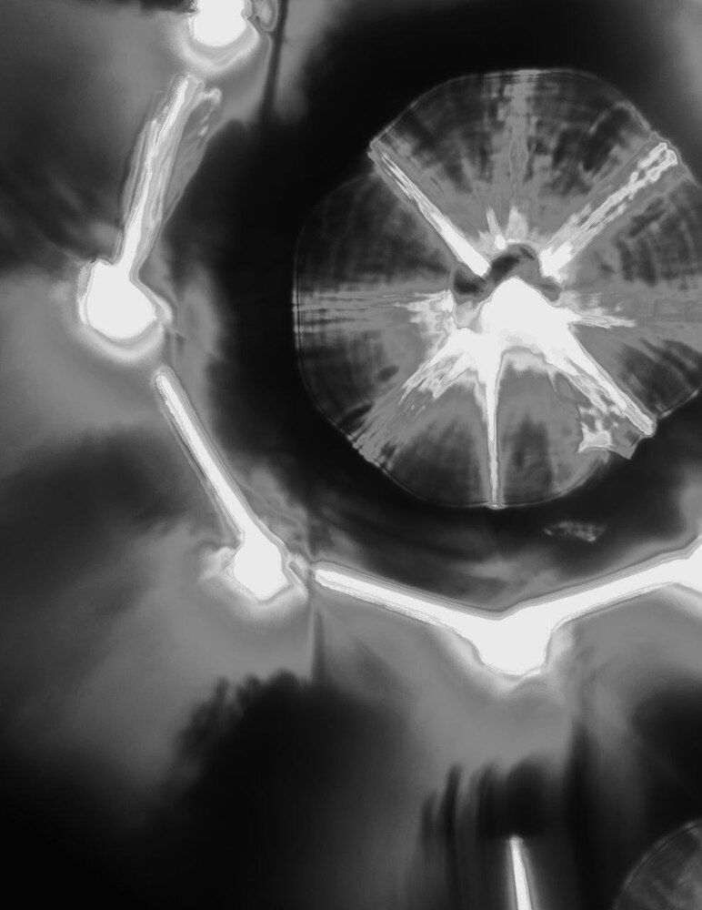 Неясность явных моментов жизни