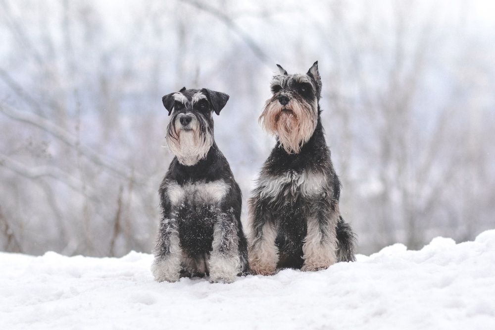 Photograph by Юлия Майорова