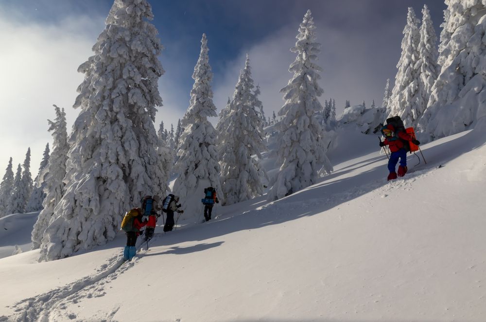 Фотография автора Анастасия Тараканова