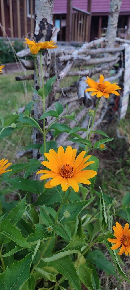 Photograph by Людмила Воропаева