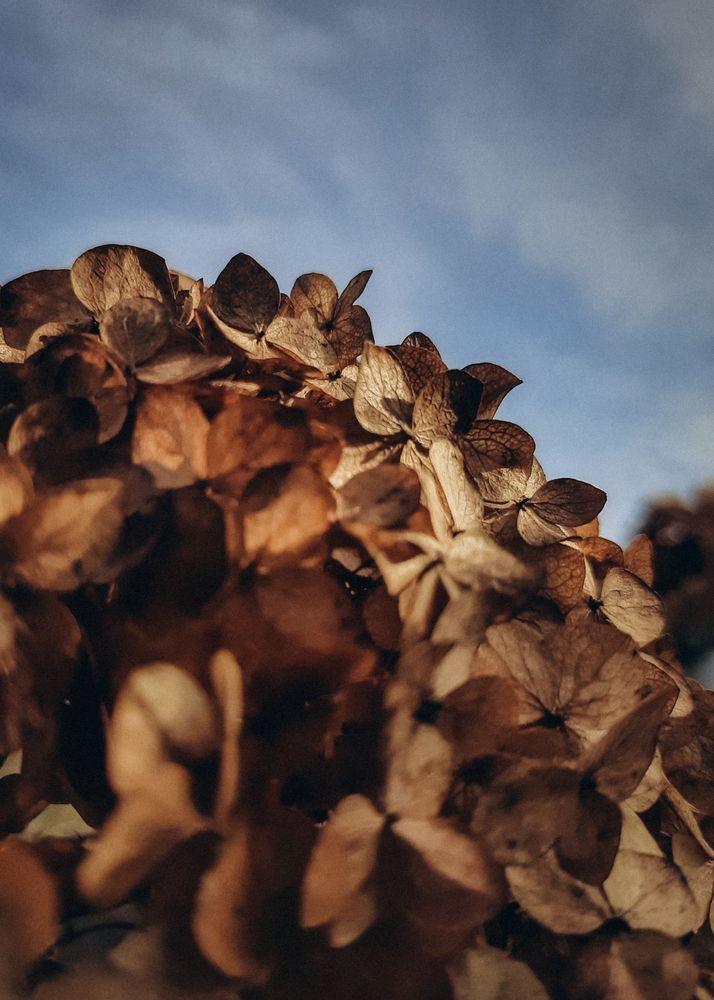 Photograph by Ригина Айдель