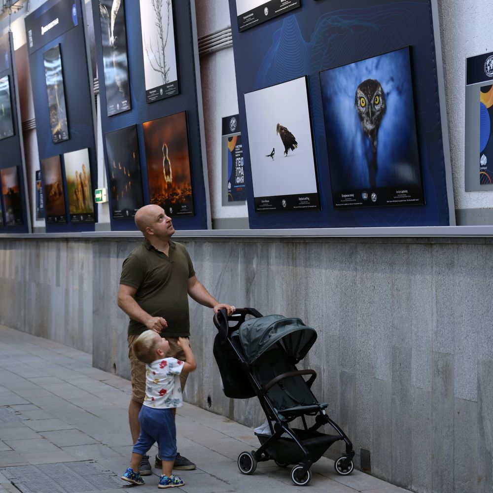 Фотография автора Колосова Елена