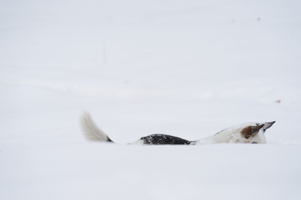 Photograph by Евгения Тупик