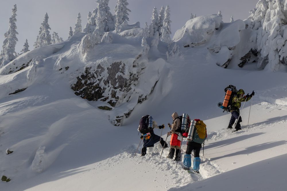 Фотография автора Анастасия Тараканова