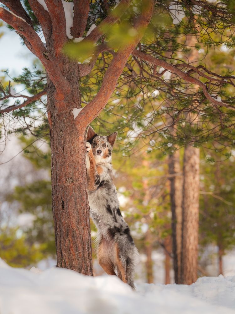 Photograph by Дмитрий Шелковой