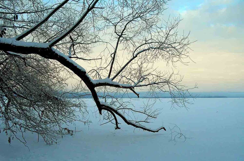 Photograph by Владимир Шульгин