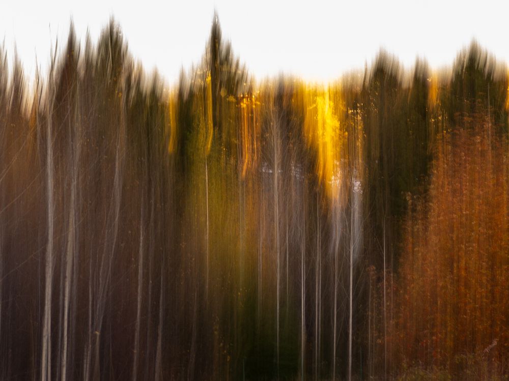 Photograph by Ксения Рейнгардт