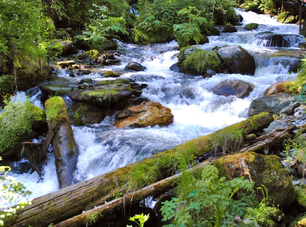 Photograph by Полевщиков Юрий