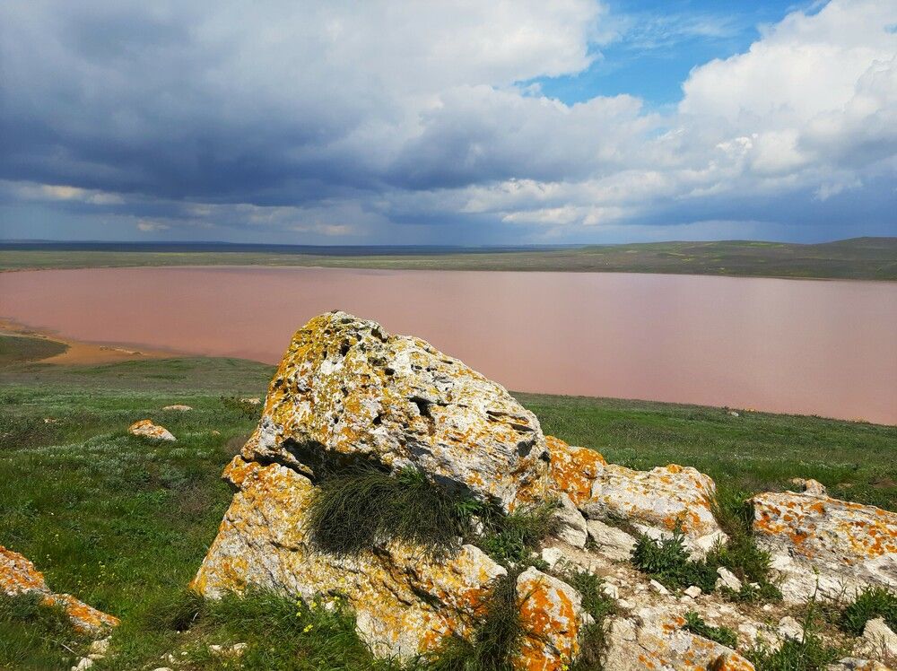 Кояшское озеро, Опукский заповедник