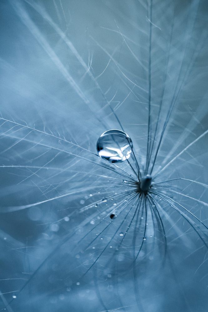 Photograph by Анна Бобкова