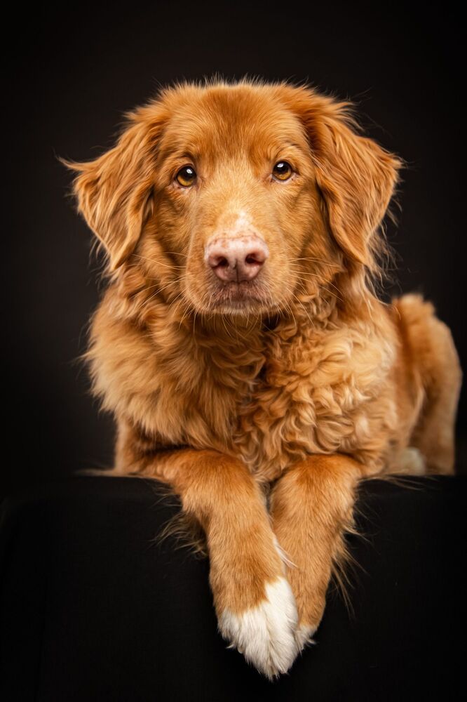 Photograph by Sandra Meyer