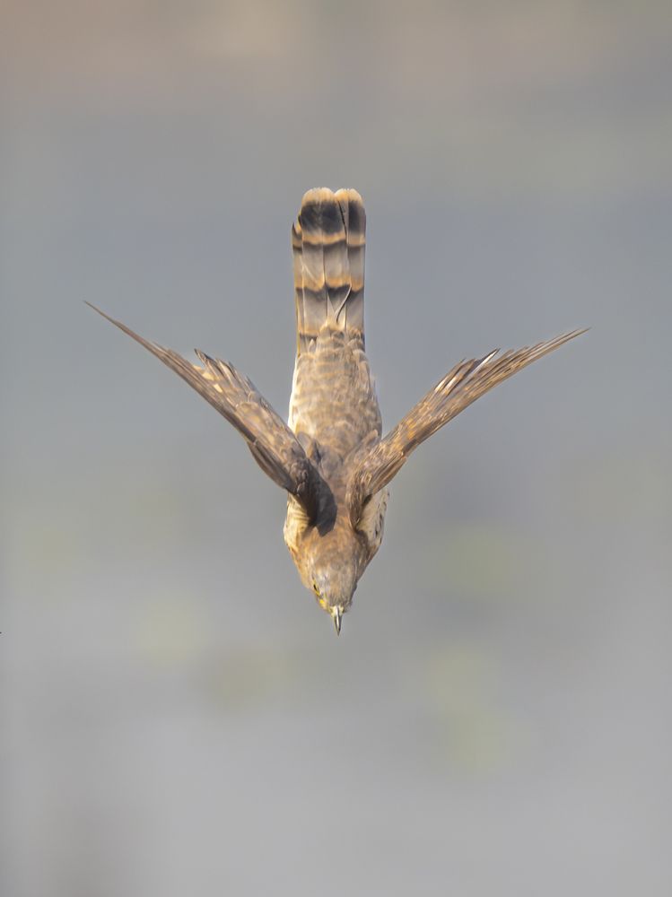 Photograph by Nishant Rana