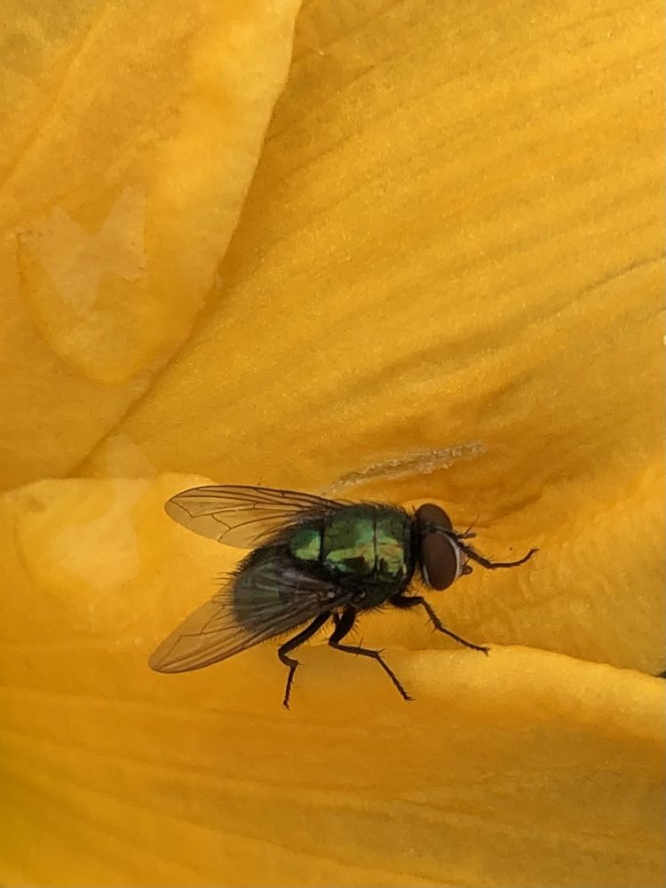 Фотография автора Светлана Гончарова