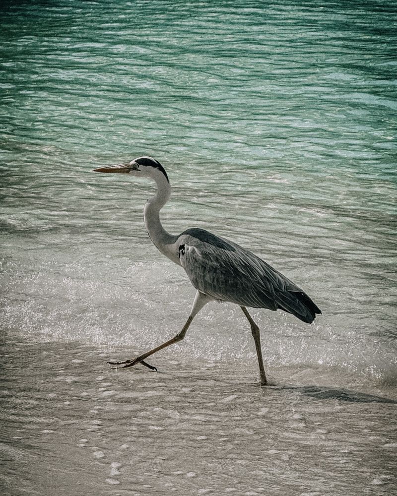 Photograph by Nazgul Mamylkanova