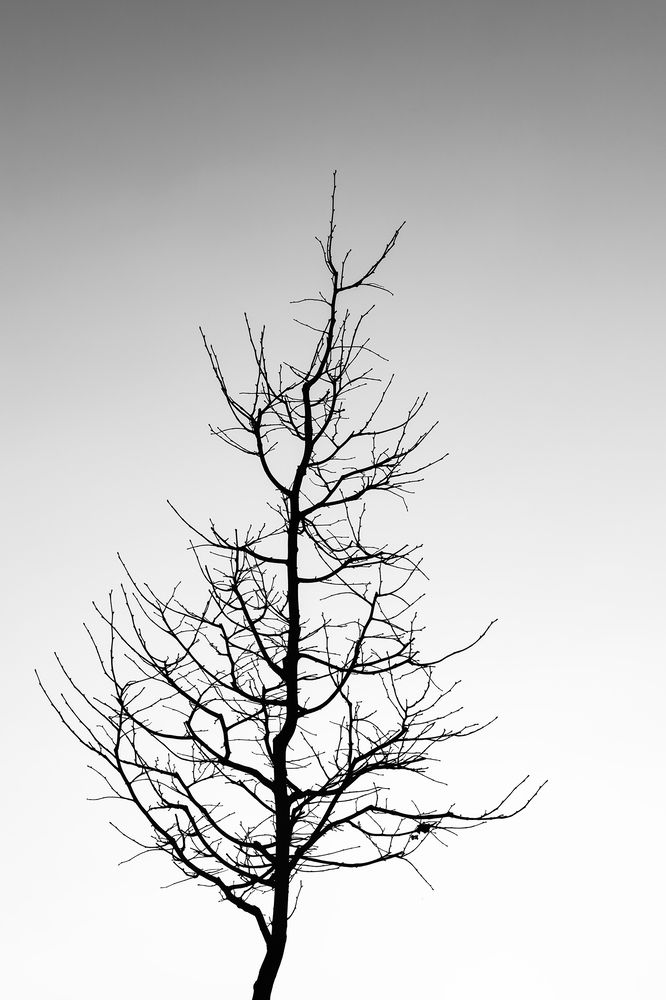 Фотография автора Halina Paspelava