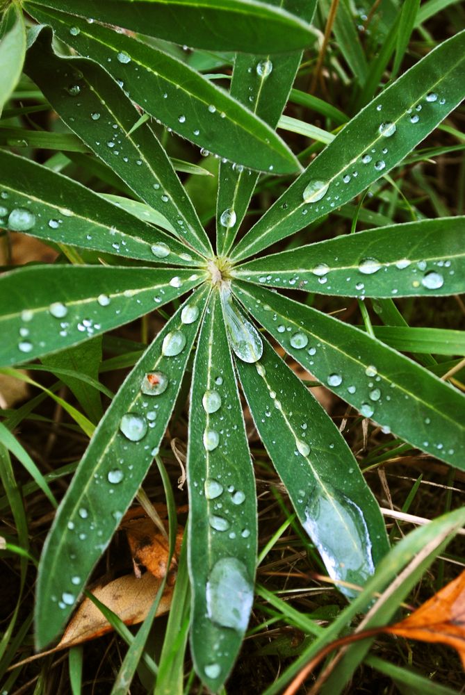 Photograph by Полевщиков Юрий