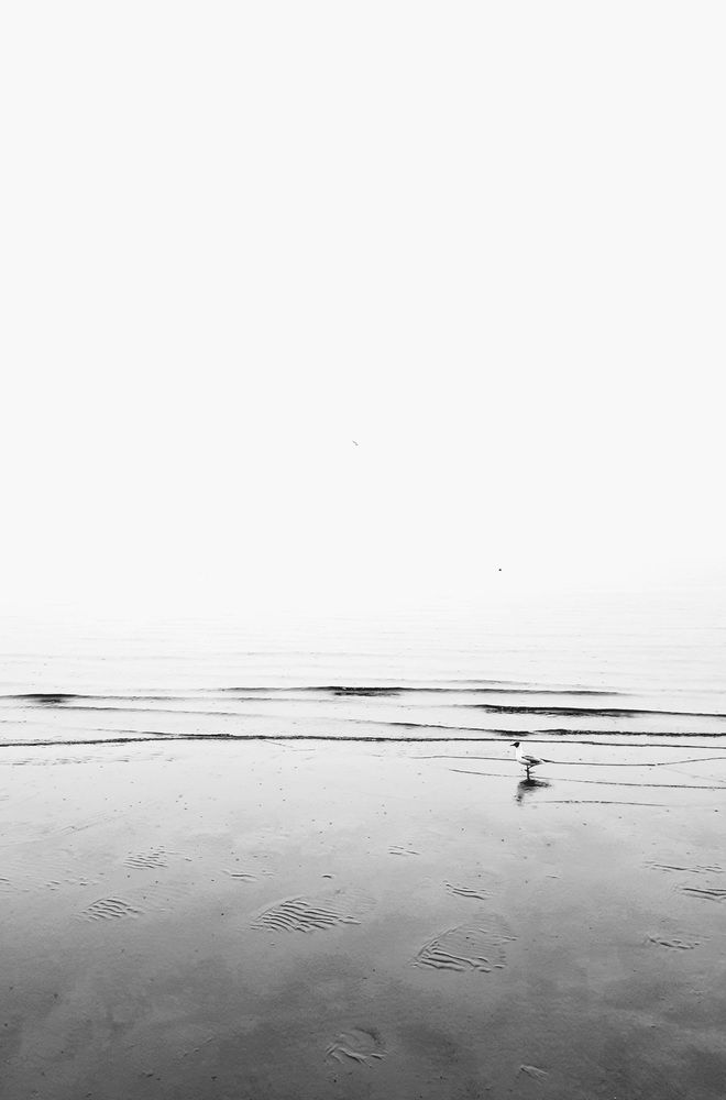 Photograph by Татьяна