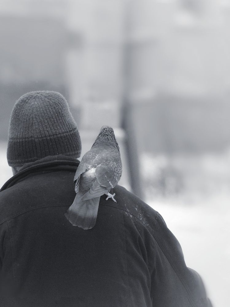 Фотография автора Тамара Караваева