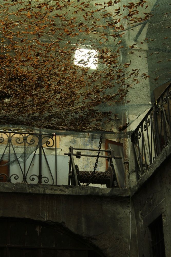 Photograph by Hatice Karaca