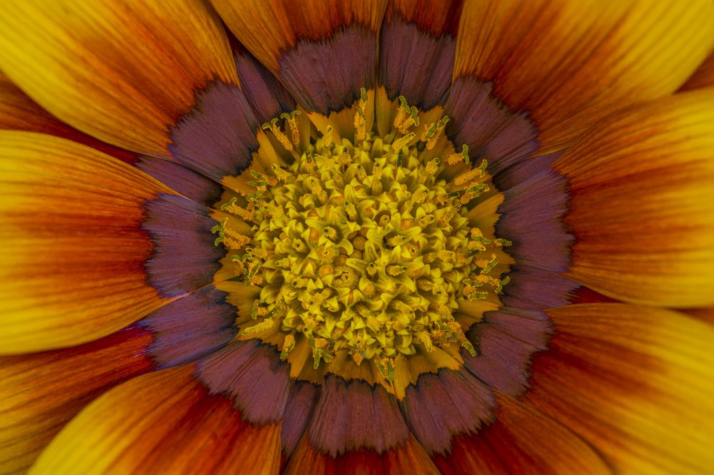 Photograph by Luca Menotti