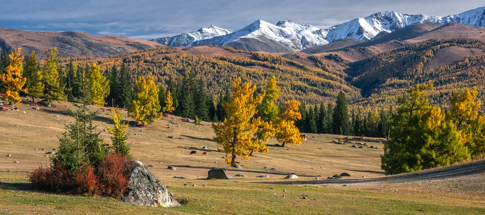 Photograph by Devender Mark