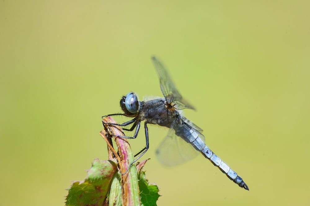 Photograph by Артём Самсонов