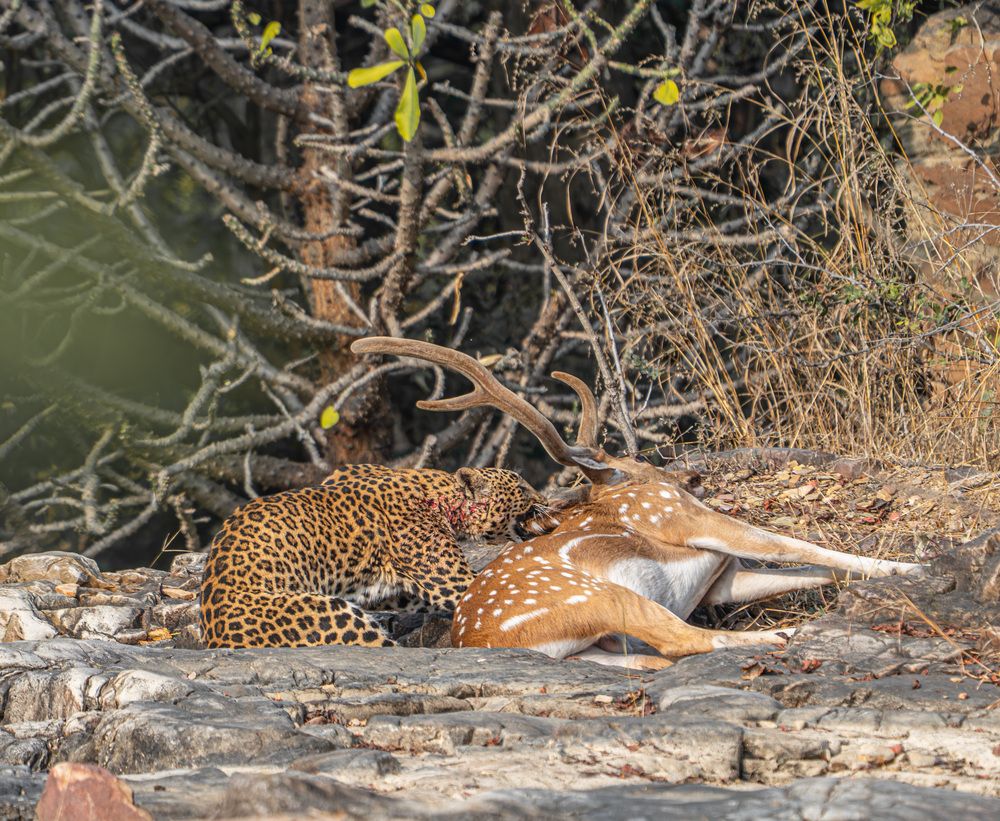 Photograph by 23BVC020-MANIVEL P B.Sc Viscom