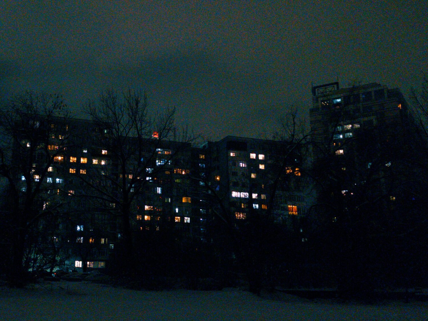 Photo #11994317