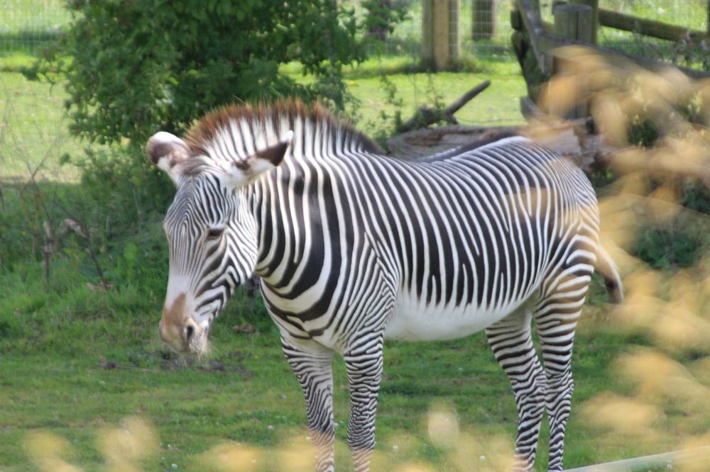 Photograph by Dmitrijs Zigilijs