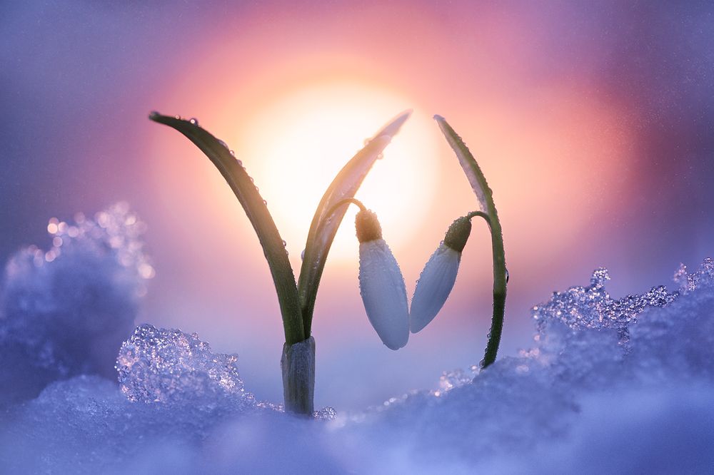 Photograph by Чорный Александр