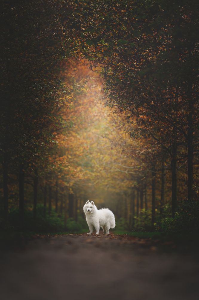 Фотография автора Rut Casanellas