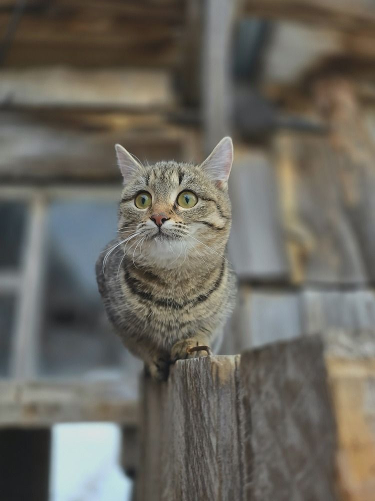 Photograph by Эльза Калюшева