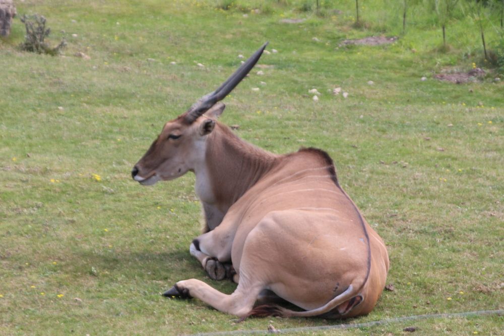 Photograph by Dmitrijs Zigilijs