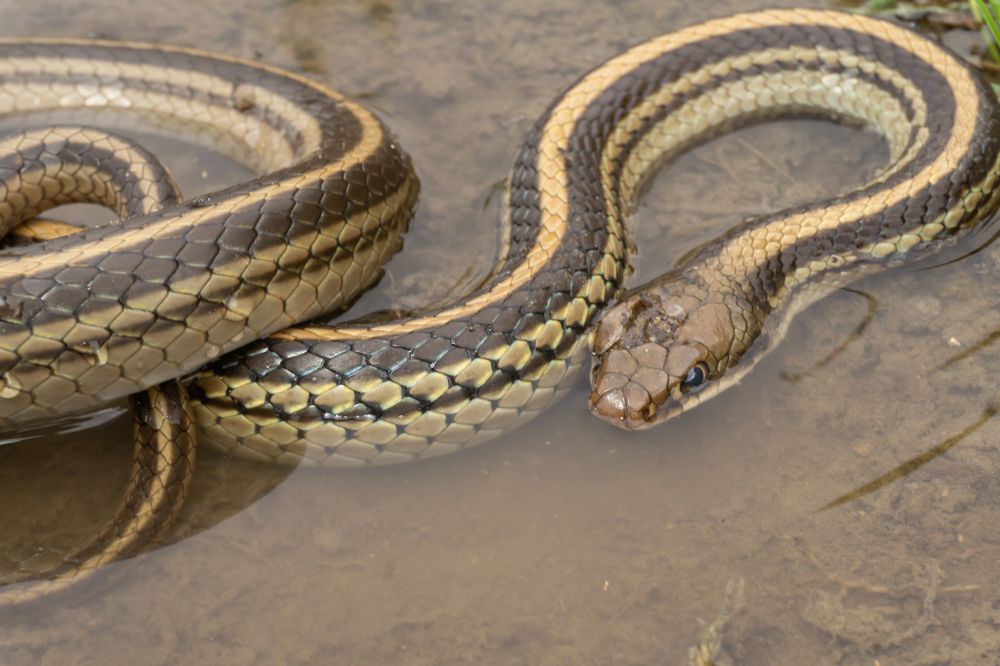 Photograph by Luis Armando Navarro Zarco