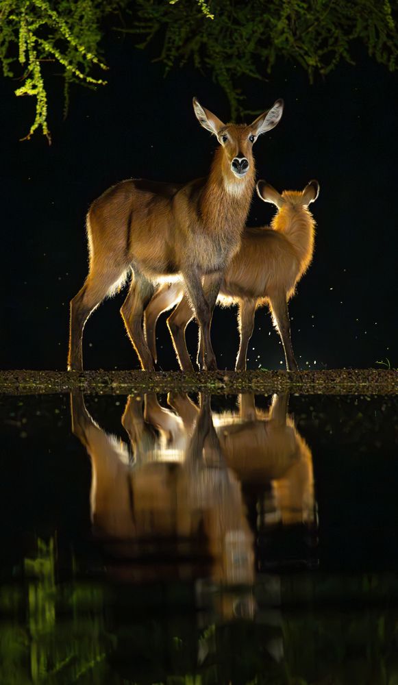 Photograph by Сулоев Алексей