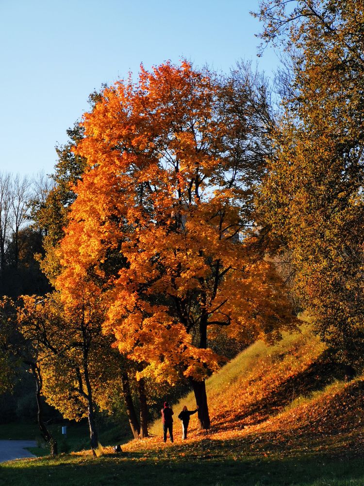 Фотография автора Дмитрий