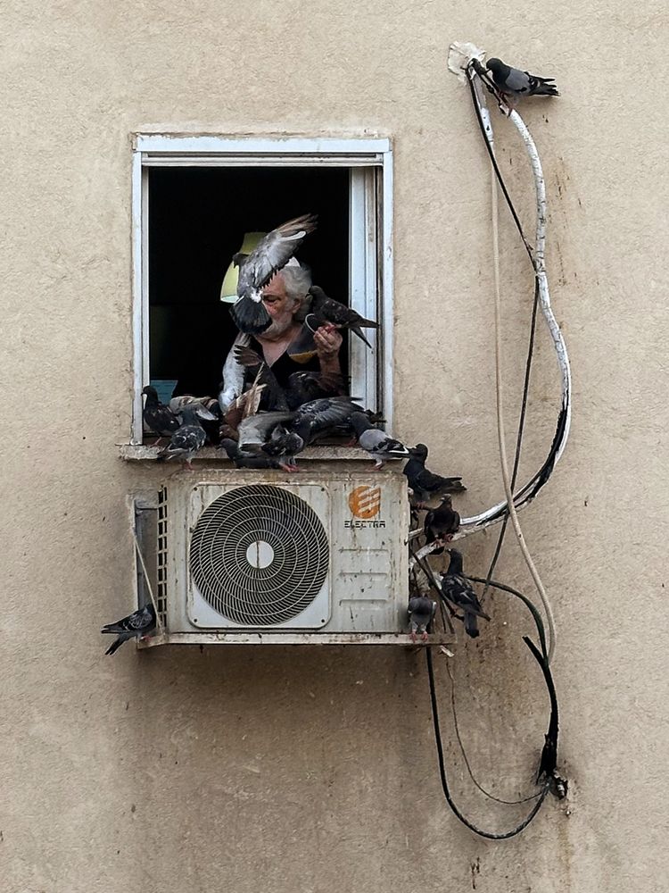 Photograph by Юлия Осипова