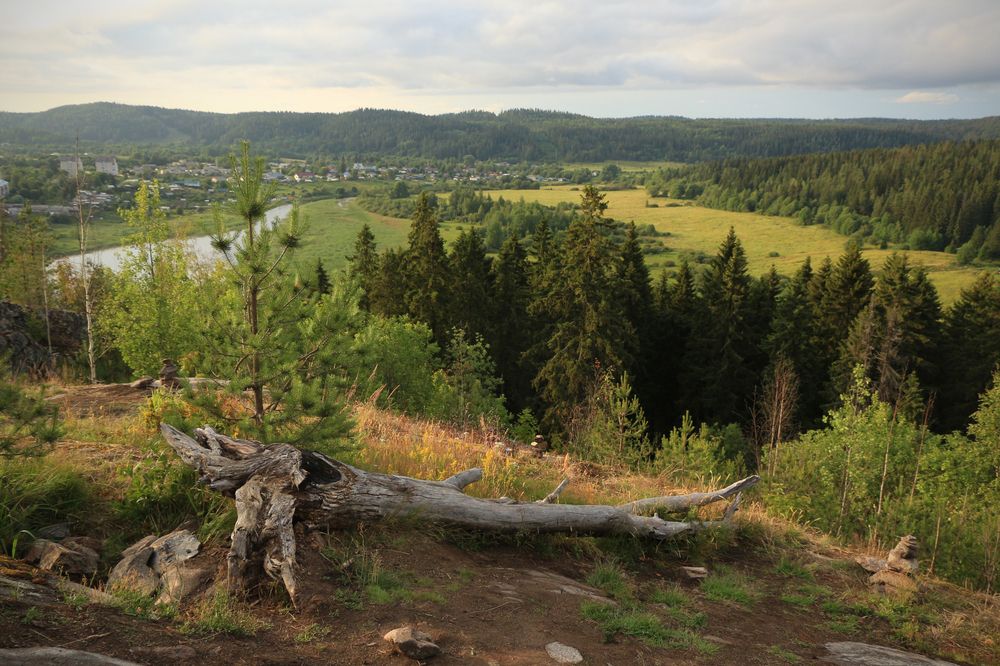 Фотография автора Яна Никольская