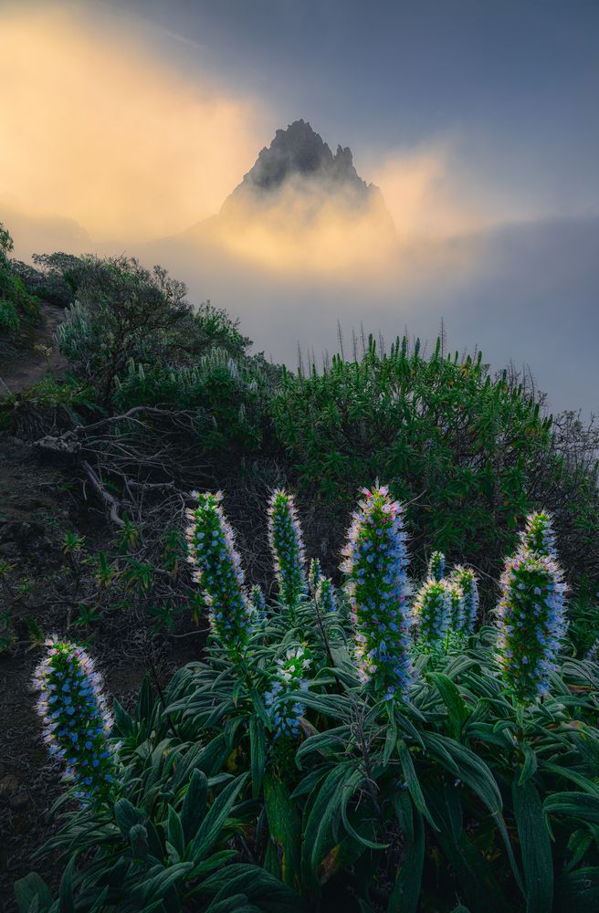 Photograph by Grégoire Pansu