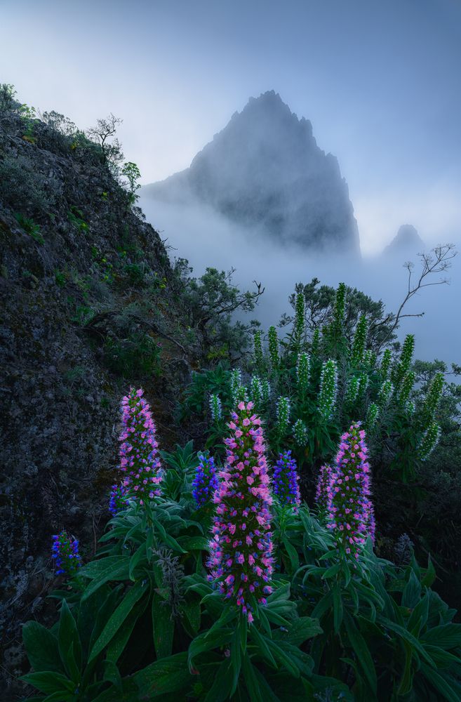 Photograph by Grégoire Pansu
