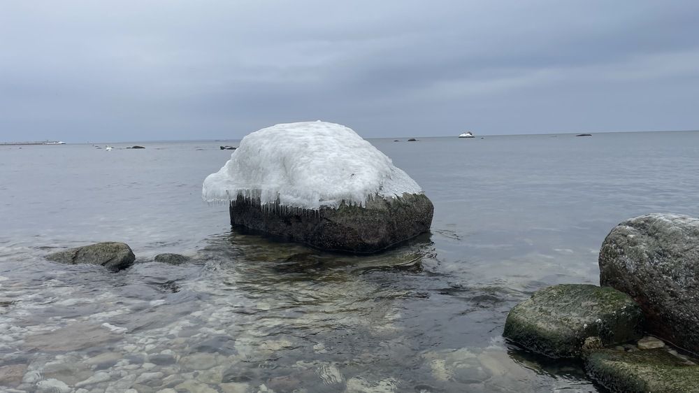 Photograph by Toomas Tõnisalu