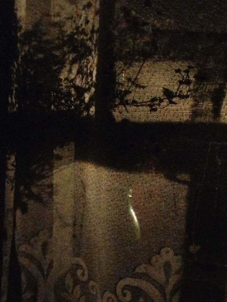 Photo #11994477