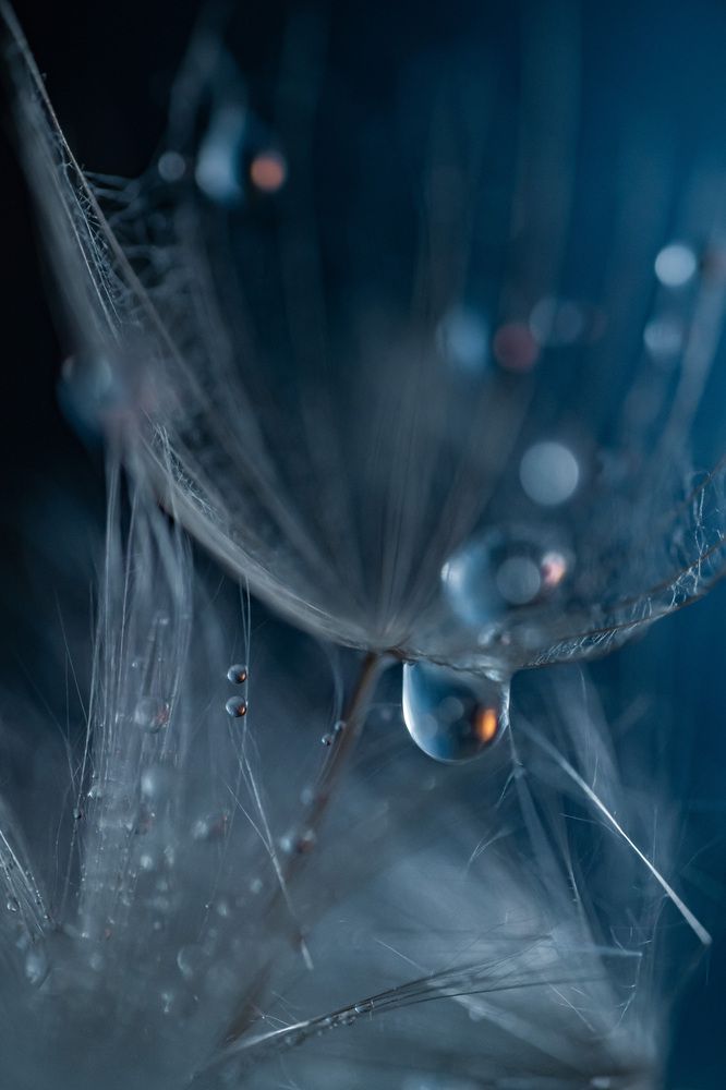 Photograph by Анна Бобкова