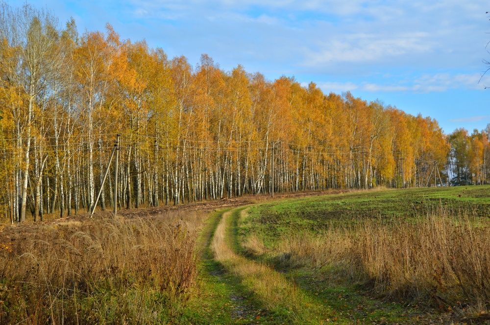 Photograph by Анна Богданова