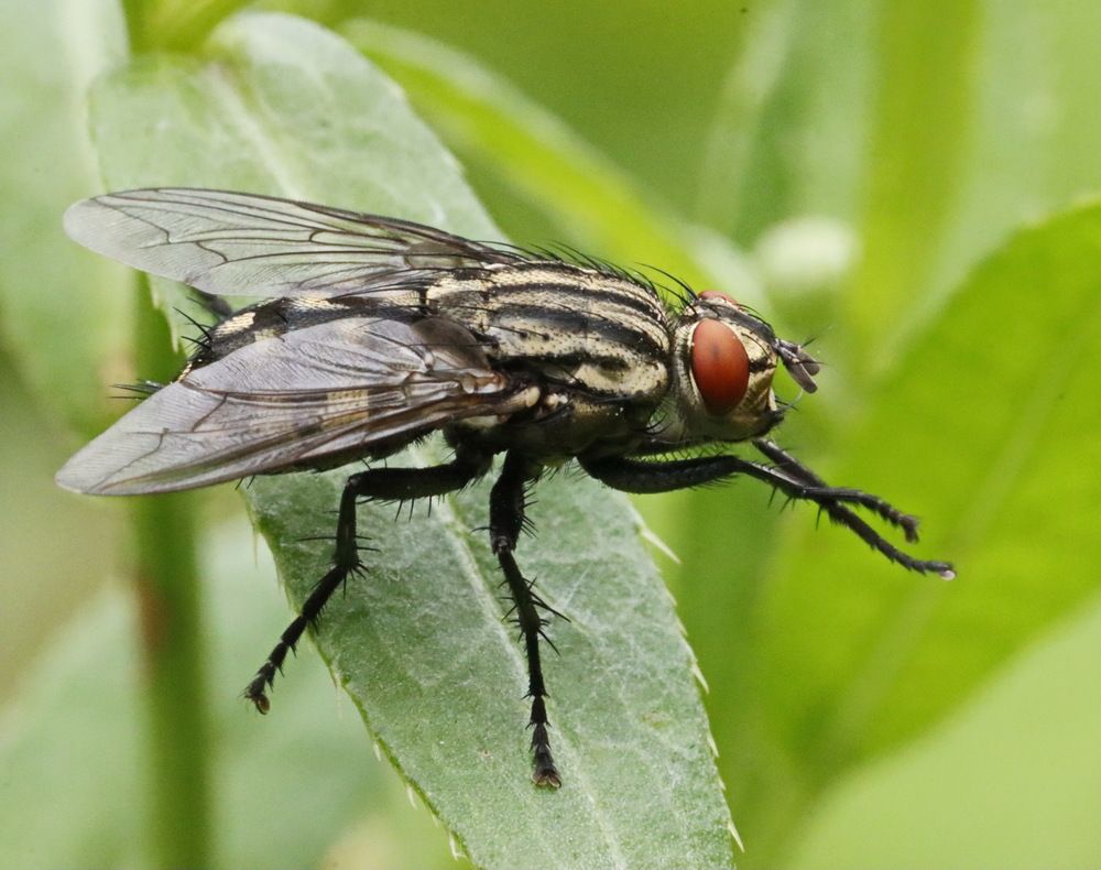 Photograph by Сергей Маслов