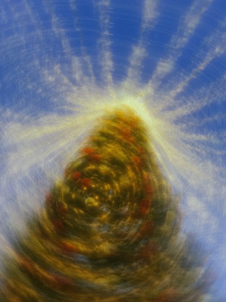 Photograph by Богдан Шаманов