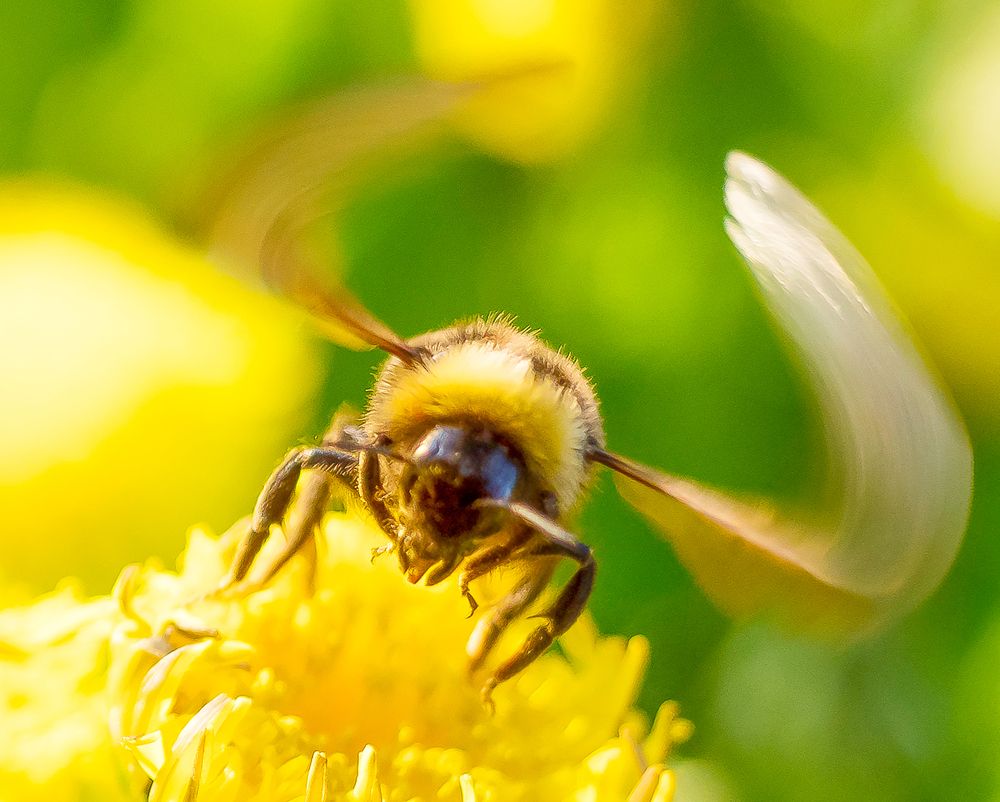 Photograph by Георгий