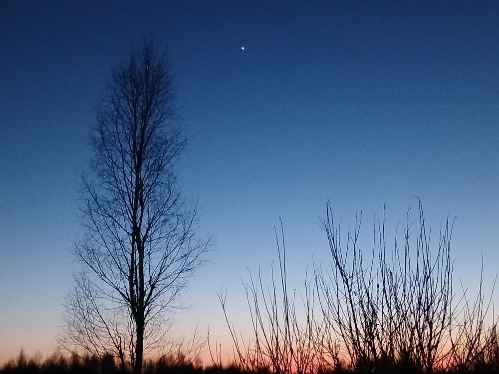 Photograph by Галина Гузова